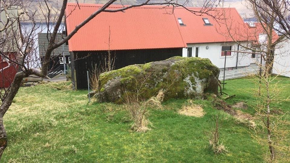Ryggstein